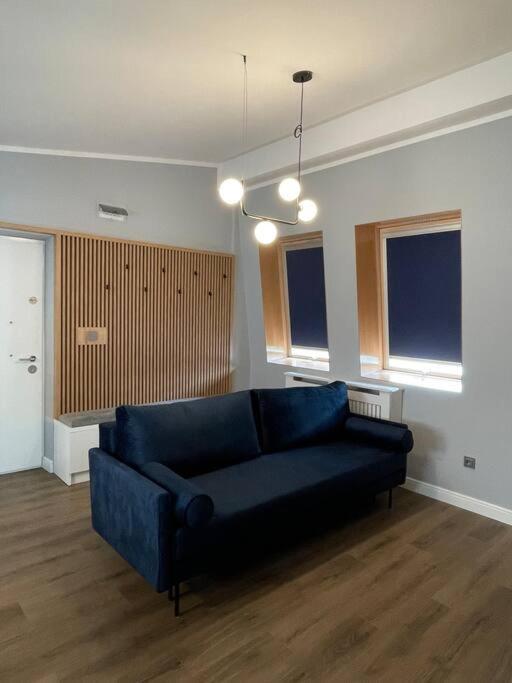 Lovely Apartment Ioana トゥルグ・ネアムツ エクステリア 写真